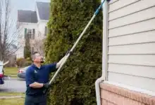 Termite Inspection
