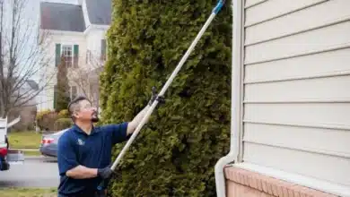 Termite Inspection