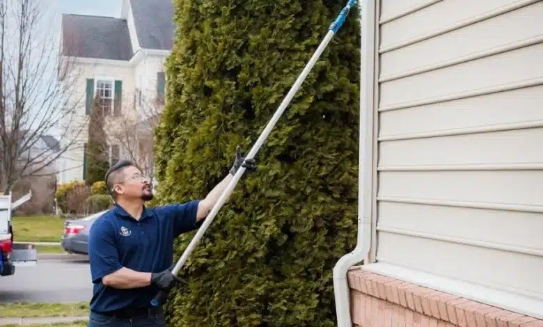 Termite Inspection