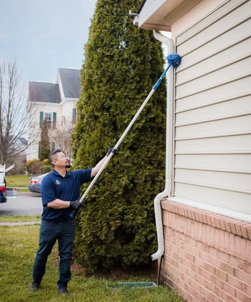 What Should You Expect from a Professional Termite Inspection Report? 